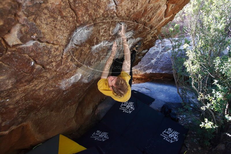 Bouldering in Hueco Tanks on 01/26/2019 with Blue Lizard Climbing and Yoga

Filename: SRM_20190126_1210130.jpg
Aperture: f/4.0
Shutter Speed: 1/250
Body: Canon EOS-1D Mark II
Lens: Canon EF 16-35mm f/2.8 L