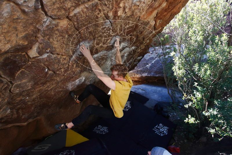 Bouldering in Hueco Tanks on 01/26/2019 with Blue Lizard Climbing and Yoga
Filename: SRM_20190126_1210210.jpg
Aperture: f/4.5
Shutter Speed: 1/250
Body: Canon EOS-1D Mark II
Lens: Canon EF 16-35mm f/2.8 L