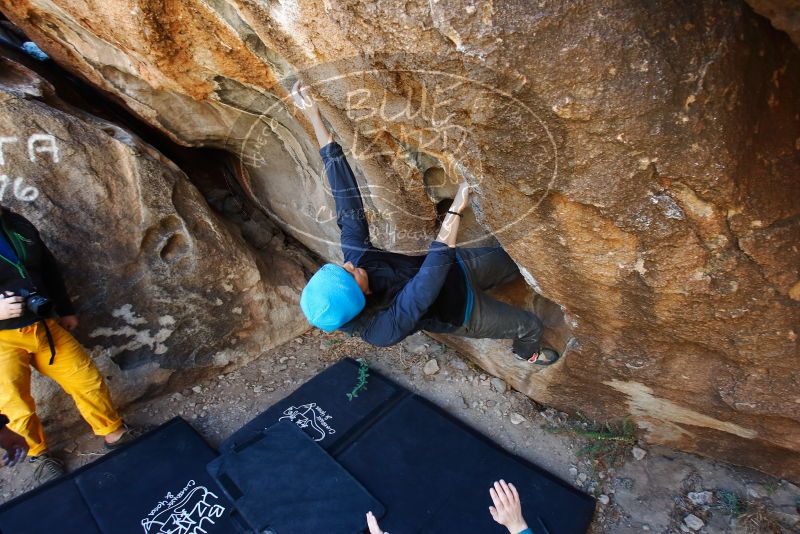 Bouldering in Hueco Tanks on 01/26/2019 with Blue Lizard Climbing and Yoga

Filename: SRM_20190126_1239260.jpg
Aperture: f/4.0
Shutter Speed: 1/200
Body: Canon EOS-1D Mark II
Lens: Canon EF 16-35mm f/2.8 L