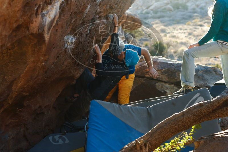 Bouldering in Hueco Tanks on 01/26/2019 with Blue Lizard Climbing and Yoga

Filename: SRM_20190126_1800000.jpg
Aperture: f/4.0
Shutter Speed: 1/250
Body: Canon EOS-1D Mark II
Lens: Canon EF 50mm f/1.8 II