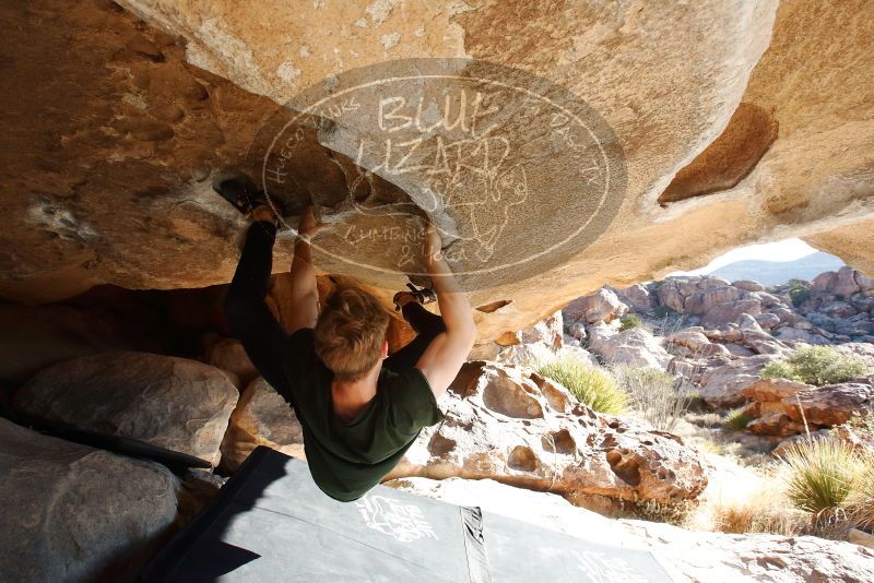 Bouldering in Hueco Tanks on 01/27/2019 with Blue Lizard Climbing and Yoga

Filename: SRM_20190127_1011130.jpg
Aperture: f/6.3
Shutter Speed: 1/250
Body: Canon EOS-1D Mark II
Lens: Canon EF 16-35mm f/2.8 L