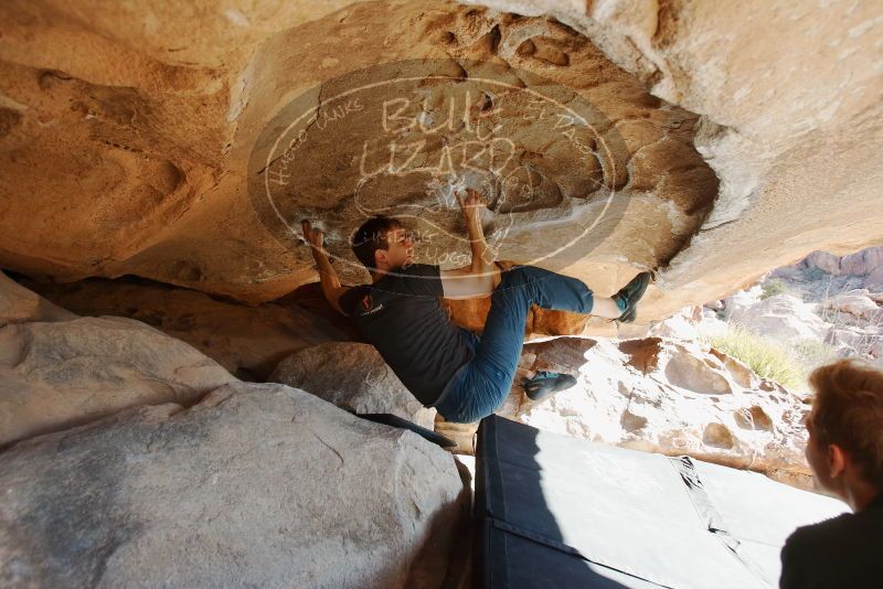 Bouldering in Hueco Tanks on 01/27/2019 with Blue Lizard Climbing and Yoga

Filename: SRM_20190127_1018530.jpg
Aperture: f/4.0
Shutter Speed: 1/250
Body: Canon EOS-1D Mark II
Lens: Canon EF 16-35mm f/2.8 L