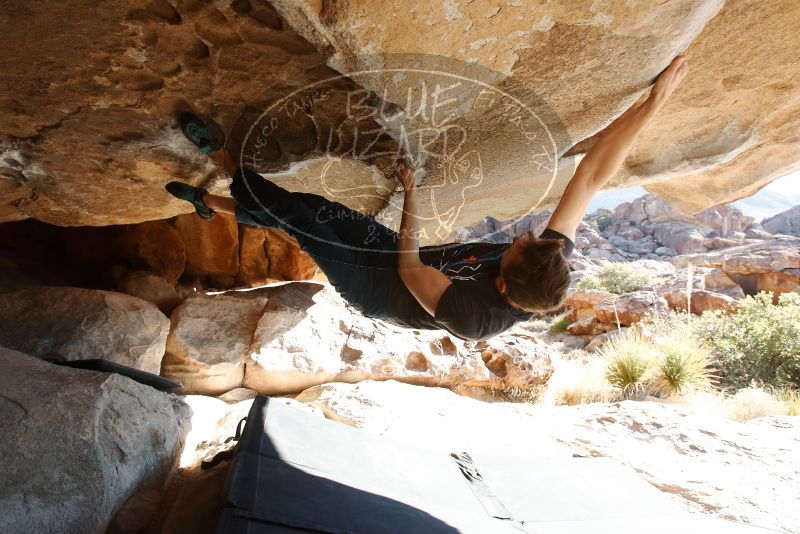 Bouldering in Hueco Tanks on 01/27/2019 with Blue Lizard Climbing and Yoga

Filename: SRM_20190127_1019100.jpg
Aperture: f/5.6
Shutter Speed: 1/250
Body: Canon EOS-1D Mark II
Lens: Canon EF 16-35mm f/2.8 L