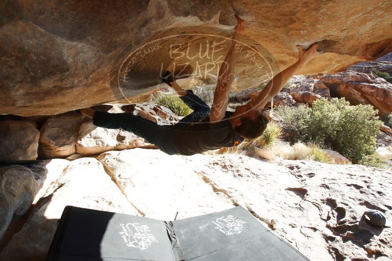 Bouldering in Hueco Tanks on 01/27/2019 with Blue Lizard Climbing and Yoga

Filename: SRM_20190127_1019360.jpg
Aperture: f/8.0
Shutter Speed: 1/250
Body: Canon EOS-1D Mark II
Lens: Canon EF 16-35mm f/2.8 L