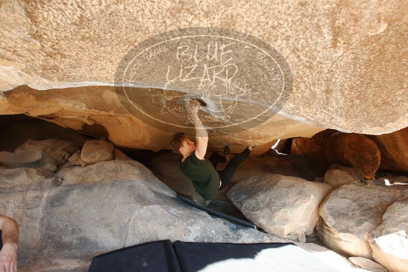 Bouldering in Hueco Tanks on 01/27/2019 with Blue Lizard Climbing and Yoga

Filename: SRM_20190127_1029020.jpg
Aperture: f/5.6
Shutter Speed: 1/250
Body: Canon EOS-1D Mark II
Lens: Canon EF 16-35mm f/2.8 L