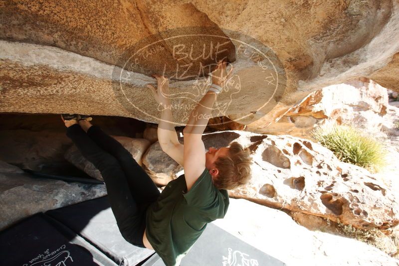 Bouldering in Hueco Tanks on 01/27/2019 with Blue Lizard Climbing and Yoga

Filename: SRM_20190127_1029310.jpg
Aperture: f/7.1
Shutter Speed: 1/250
Body: Canon EOS-1D Mark II
Lens: Canon EF 16-35mm f/2.8 L