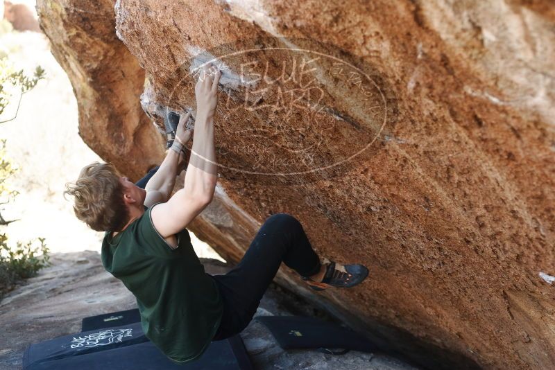 Bouldering in Hueco Tanks on 01/27/2019 with Blue Lizard Climbing and Yoga

Filename: SRM_20190127_1155240.jpg
Aperture: f/3.2
Shutter Speed: 1/400
Body: Canon EOS-1D Mark II
Lens: Canon EF 50mm f/1.8 II