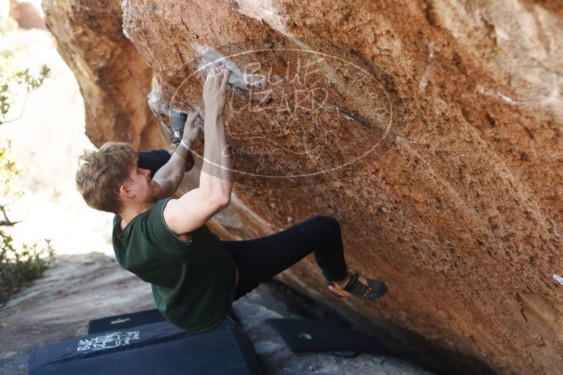 Bouldering in Hueco Tanks on 01/27/2019 with Blue Lizard Climbing and Yoga

Filename: SRM_20190127_1155241.jpg
Aperture: f/3.2
Shutter Speed: 1/400
Body: Canon EOS-1D Mark II
Lens: Canon EF 50mm f/1.8 II