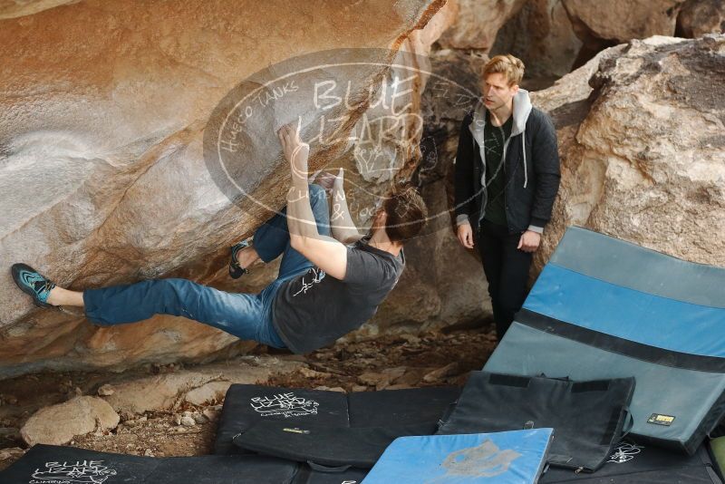 Bouldering in Hueco Tanks on 01/27/2019 with Blue Lizard Climbing and Yoga

Filename: SRM_20190127_1422410.jpg
Aperture: f/4.0
Shutter Speed: 1/500
Body: Canon EOS-1D Mark II
Lens: Canon EF 50mm f/1.8 II
