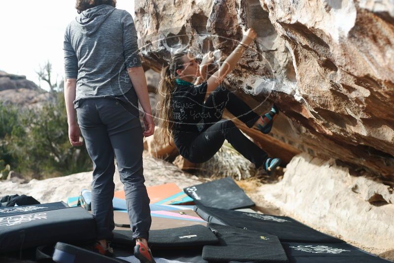 Bouldering in Hueco Tanks on 02/03/2019 with Blue Lizard Climbing and Yoga

Filename: SRM_20190203_1058490.jpg
Aperture: f/2.8
Shutter Speed: 1/1000
Body: Canon EOS-1D Mark II
Lens: Canon EF 50mm f/1.8 II