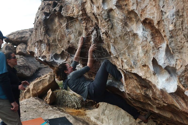 Bouldering in Hueco Tanks on 02/03/2019 with Blue Lizard Climbing and Yoga

Filename: SRM_20190203_1102330.jpg
Aperture: f/4.0
Shutter Speed: 1/800
Body: Canon EOS-1D Mark II
Lens: Canon EF 50mm f/1.8 II