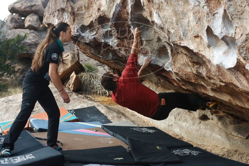 Bouldering in Hueco Tanks on 02/03/2019 with Blue Lizard Climbing and Yoga

Filename: SRM_20190203_1104320.jpg
Aperture: f/4.0
Shutter Speed: 1/640
Body: Canon EOS-1D Mark II
Lens: Canon EF 50mm f/1.8 II