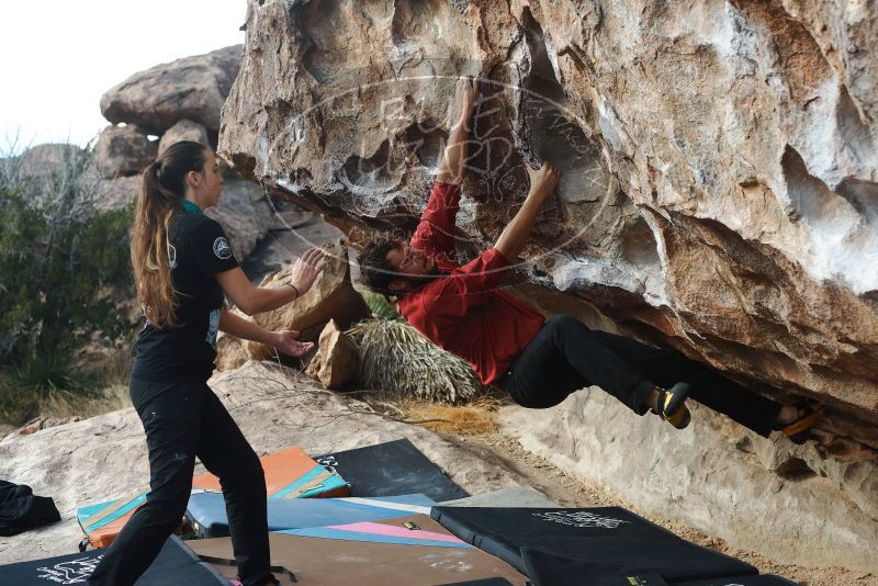 Bouldering in Hueco Tanks on 02/03/2019 with Blue Lizard Climbing and Yoga

Filename: SRM_20190203_1104340.jpg
Aperture: f/4.0
Shutter Speed: 1/800
Body: Canon EOS-1D Mark II
Lens: Canon EF 50mm f/1.8 II