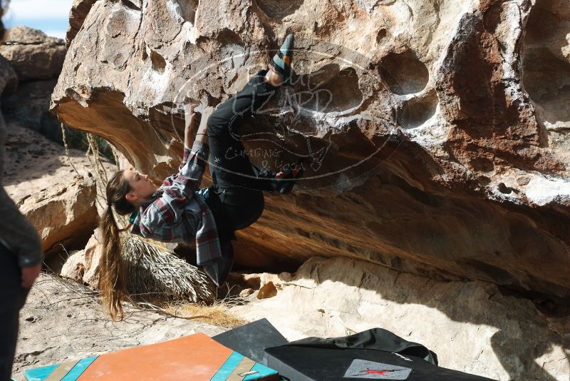 Bouldering in Hueco Tanks on 02/03/2019 with Blue Lizard Climbing and Yoga

Filename: SRM_20190203_1131020.jpg
Aperture: f/4.0
Shutter Speed: 1/800
Body: Canon EOS-1D Mark II
Lens: Canon EF 50mm f/1.8 II