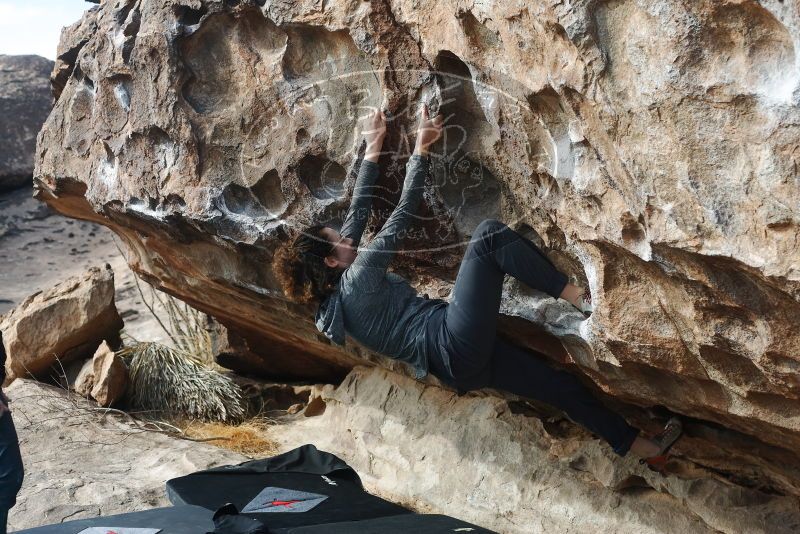 Bouldering in Hueco Tanks on 02/03/2019 with Blue Lizard Climbing and Yoga

Filename: SRM_20190203_1143250.jpg
Aperture: f/4.0
Shutter Speed: 1/400
Body: Canon EOS-1D Mark II
Lens: Canon EF 50mm f/1.8 II