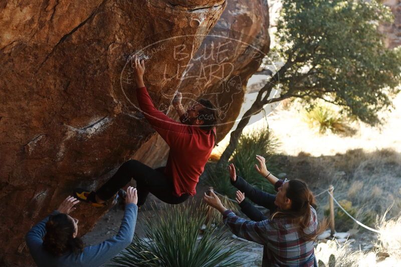 Bouldering in Hueco Tanks on 02/03/2019 with Blue Lizard Climbing and Yoga

Filename: SRM_20190203_1255290.jpg
Aperture: f/3.5
Shutter Speed: 1/400
Body: Canon EOS-1D Mark II
Lens: Canon EF 50mm f/1.8 II