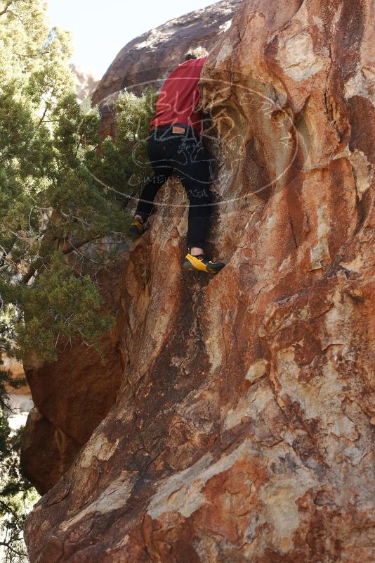 Bouldering in Hueco Tanks on 02/03/2019 with Blue Lizard Climbing and Yoga

Filename: SRM_20190203_1258480.jpg
Aperture: f/3.5
Shutter Speed: 1/400
Body: Canon EOS-1D Mark II
Lens: Canon EF 50mm f/1.8 II