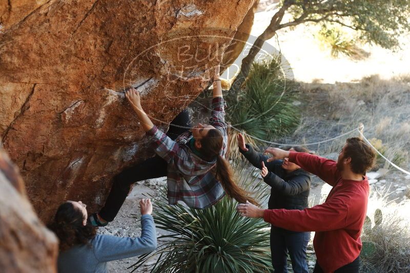 Bouldering in Hueco Tanks on 02/03/2019 with Blue Lizard Climbing and Yoga

Filename: SRM_20190203_1307030.jpg
Aperture: f/3.5
Shutter Speed: 1/250
Body: Canon EOS-1D Mark II
Lens: Canon EF 50mm f/1.8 II
