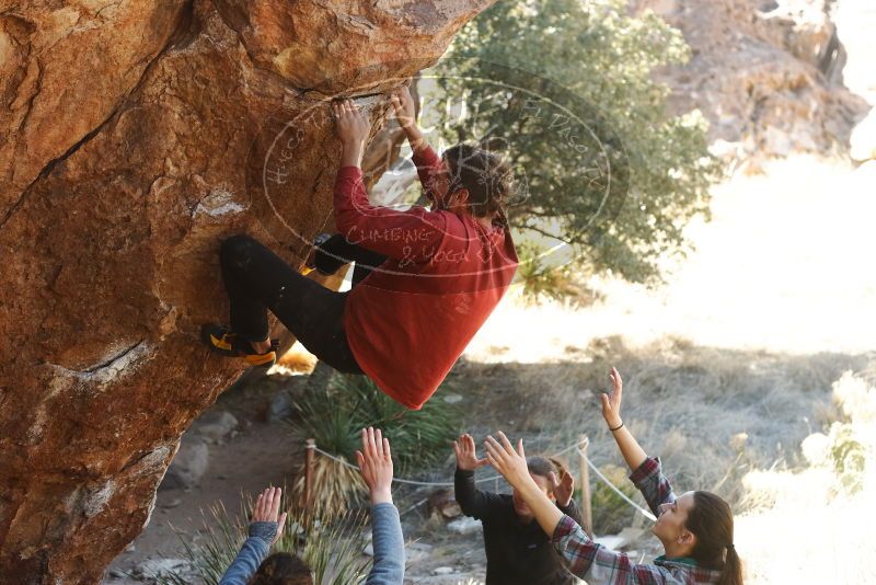 Bouldering in Hueco Tanks on 02/03/2019 with Blue Lizard Climbing and Yoga

Filename: SRM_20190203_1330140.jpg
Aperture: f/4.0
Shutter Speed: 1/250
Body: Canon EOS-1D Mark II
Lens: Canon EF 50mm f/1.8 II