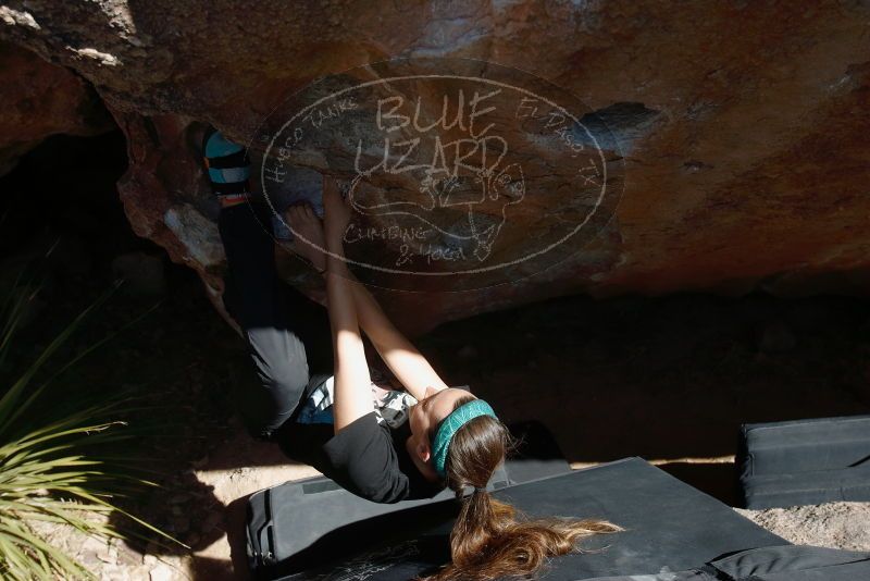Bouldering in Hueco Tanks on 02/03/2019 with Blue Lizard Climbing and Yoga

Filename: SRM_20190203_1424060.jpg
Aperture: f/5.6
Shutter Speed: 1/250
Body: Canon EOS-1D Mark II
Lens: Canon EF 16-35mm f/2.8 L