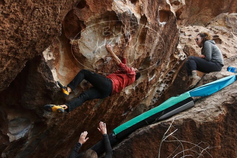 Bouldering in Hueco Tanks on 02/03/2019 with Blue Lizard Climbing and Yoga

Filename: SRM_20190203_1446390.jpg
Aperture: f/5.6
Shutter Speed: 1/640
Body: Canon EOS-1D Mark II
Lens: Canon EF 16-35mm f/2.8 L