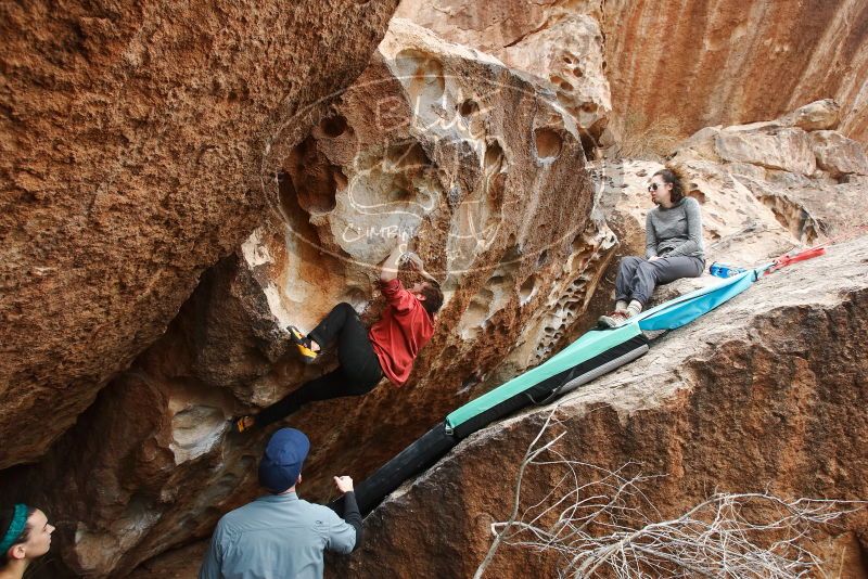 Bouldering in Hueco Tanks on 02/03/2019 with Blue Lizard Climbing and Yoga

Filename: SRM_20190203_1455080.jpg
Aperture: f/5.6
Shutter Speed: 1/320
Body: Canon EOS-1D Mark II
Lens: Canon EF 16-35mm f/2.8 L