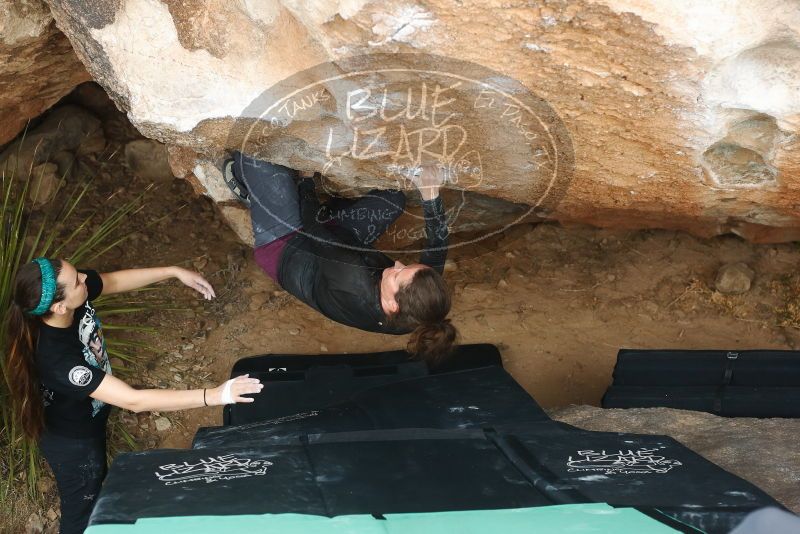 Bouldering in Hueco Tanks on 02/03/2019 with Blue Lizard Climbing and Yoga

Filename: SRM_20190203_1459471.jpg
Aperture: f/4.0
Shutter Speed: 1/400
Body: Canon EOS-1D Mark II
Lens: Canon EF 50mm f/1.8 II