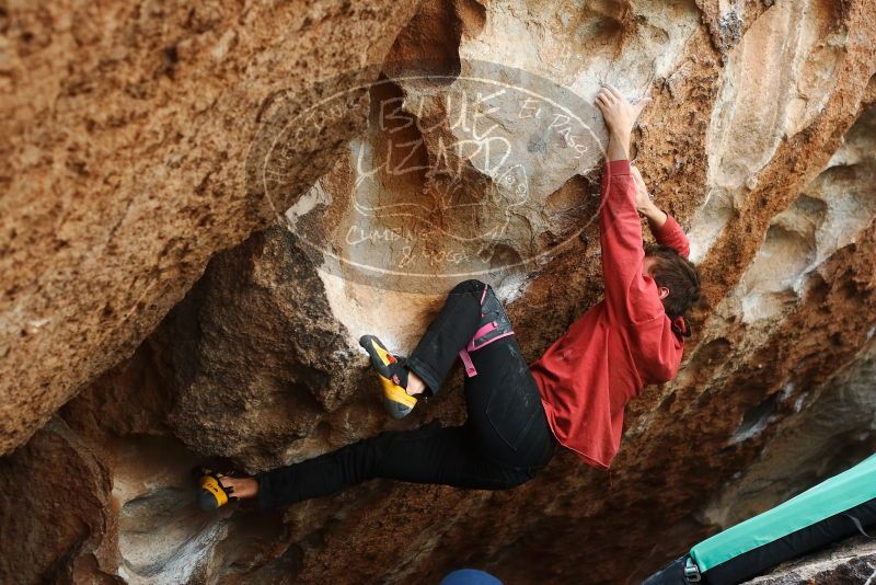 Bouldering in Hueco Tanks on 02/03/2019 with Blue Lizard Climbing and Yoga

Filename: SRM_20190203_1511160.jpg
Aperture: f/4.0
Shutter Speed: 1/500
Body: Canon EOS-1D Mark II
Lens: Canon EF 50mm f/1.8 II