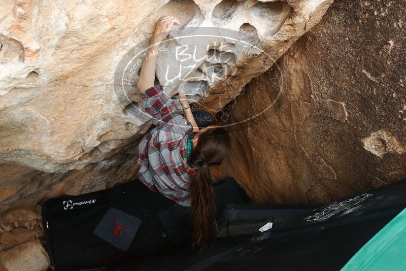 Bouldering in Hueco Tanks on 02/03/2019 with Blue Lizard Climbing and Yoga

Filename: SRM_20190203_1551200.jpg
Aperture: f/5.0
Shutter Speed: 1/320
Body: Canon EOS-1D Mark II
Lens: Canon EF 16-35mm f/2.8 L