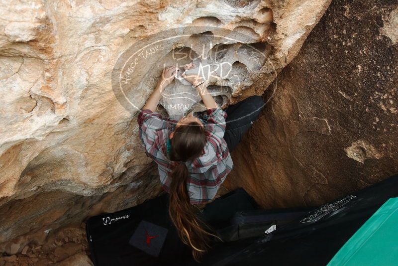 Bouldering in Hueco Tanks on 02/03/2019 with Blue Lizard Climbing and Yoga

Filename: SRM_20190203_1551250.jpg
Aperture: f/5.0
Shutter Speed: 1/500
Body: Canon EOS-1D Mark II
Lens: Canon EF 16-35mm f/2.8 L
