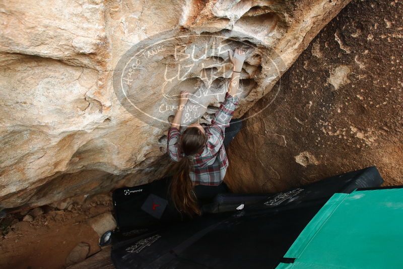 Bouldering in Hueco Tanks on 02/03/2019 with Blue Lizard Climbing and Yoga

Filename: SRM_20190203_1551270.jpg
Aperture: f/5.0
Shutter Speed: 1/500
Body: Canon EOS-1D Mark II
Lens: Canon EF 16-35mm f/2.8 L