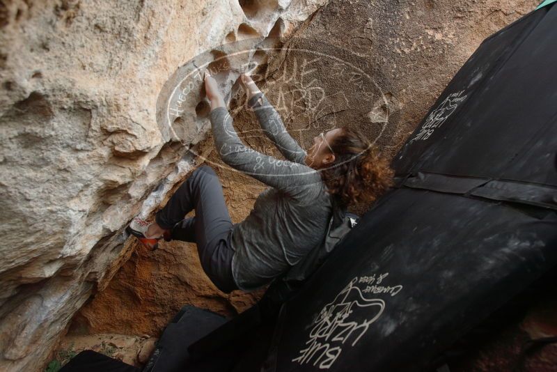 Bouldering in Hueco Tanks on 02/03/2019 with Blue Lizard Climbing and Yoga

Filename: SRM_20190203_1553540.jpg
Aperture: f/5.0
Shutter Speed: 1/200
Body: Canon EOS-1D Mark II
Lens: Canon EF 16-35mm f/2.8 L