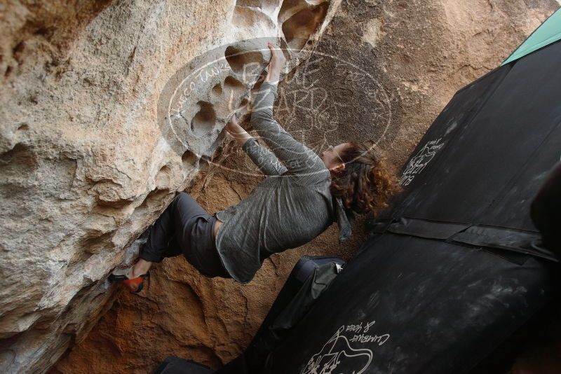 Bouldering in Hueco Tanks on 02/03/2019 with Blue Lizard Climbing and Yoga

Filename: SRM_20190203_1553570.jpg
Aperture: f/5.0
Shutter Speed: 1/250
Body: Canon EOS-1D Mark II
Lens: Canon EF 16-35mm f/2.8 L