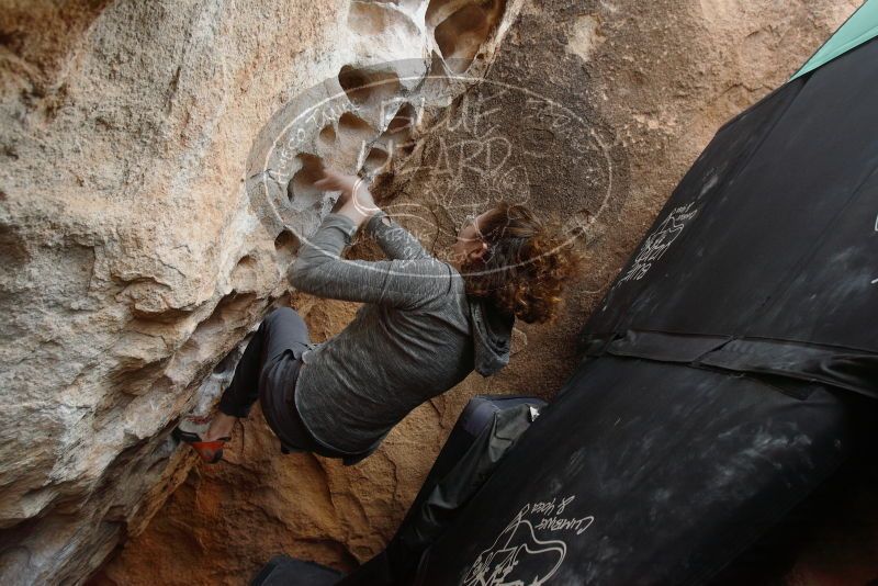 Bouldering in Hueco Tanks on 02/03/2019 with Blue Lizard Climbing and Yoga

Filename: SRM_20190203_1554310.jpg
Aperture: f/5.0
Shutter Speed: 1/250
Body: Canon EOS-1D Mark II
Lens: Canon EF 16-35mm f/2.8 L