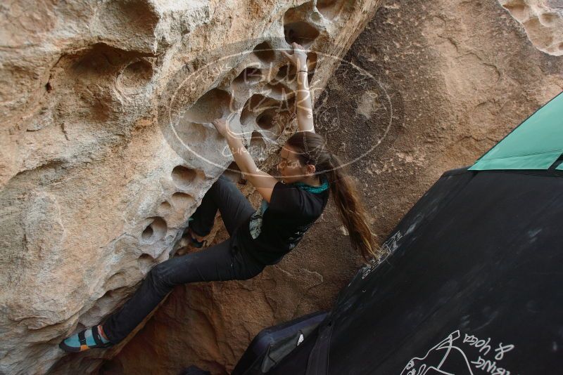 Bouldering in Hueco Tanks on 02/03/2019 with Blue Lizard Climbing and Yoga

Filename: SRM_20190203_1558060.jpg
Aperture: f/5.0
Shutter Speed: 1/320
Body: Canon EOS-1D Mark II
Lens: Canon EF 16-35mm f/2.8 L