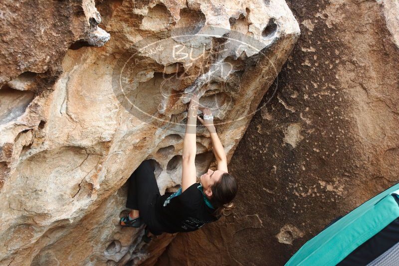 Bouldering in Hueco Tanks on 02/03/2019 with Blue Lizard Climbing and Yoga

Filename: SRM_20190203_1623020.jpg
Aperture: f/5.0
Shutter Speed: 1/500
Body: Canon EOS-1D Mark II
Lens: Canon EF 16-35mm f/2.8 L