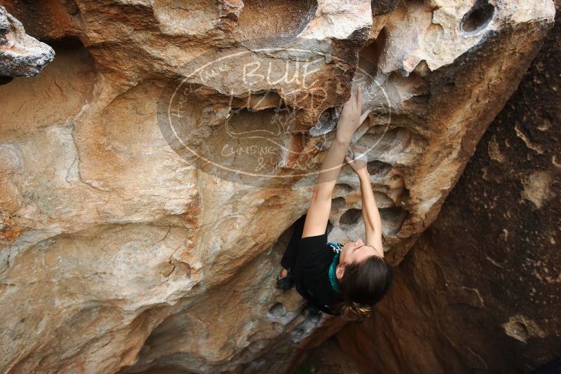 Bouldering in Hueco Tanks on 02/03/2019 with Blue Lizard Climbing and Yoga

Filename: SRM_20190203_1625310.jpg
Aperture: f/5.0
Shutter Speed: 1/400
Body: Canon EOS-1D Mark II
Lens: Canon EF 16-35mm f/2.8 L