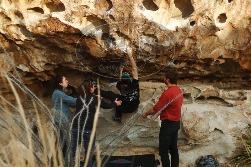 Bouldering in Hueco Tanks on 02/03/2019 with Blue Lizard Climbing and Yoga

Filename: SRM_20190203_1810020.jpg
Aperture: f/3.2
Shutter Speed: 1/250
Body: Canon EOS-1D Mark II
Lens: Canon EF 50mm f/1.8 II