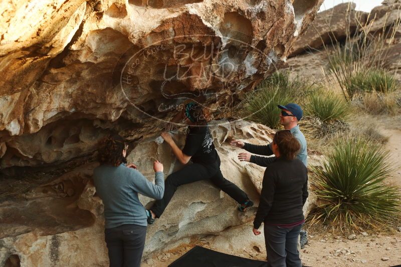 Bouldering in Hueco Tanks on 02/03/2019 with Blue Lizard Climbing and Yoga

Filename: SRM_20190203_1822330.jpg
Aperture: f/4.0
Shutter Speed: 1/320
Body: Canon EOS-1D Mark II
Lens: Canon EF 50mm f/1.8 II