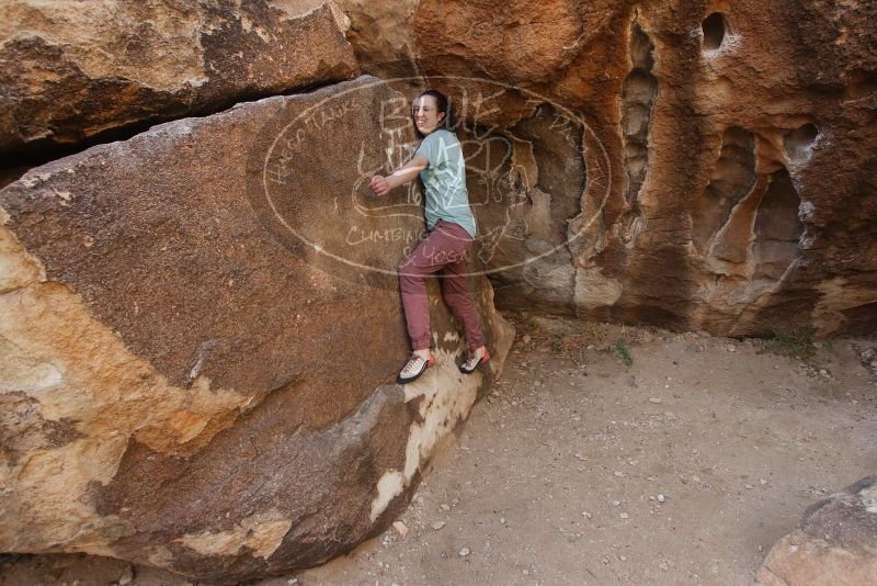 Bouldering in Hueco Tanks on 02/02/2019 with Blue Lizard Climbing and Yoga

Filename: SRM_20190202_1103200.jpg
Aperture: f/5.6
Shutter Speed: 1/250
Body: Canon EOS-1D Mark II
Lens: Canon EF 16-35mm f/2.8 L