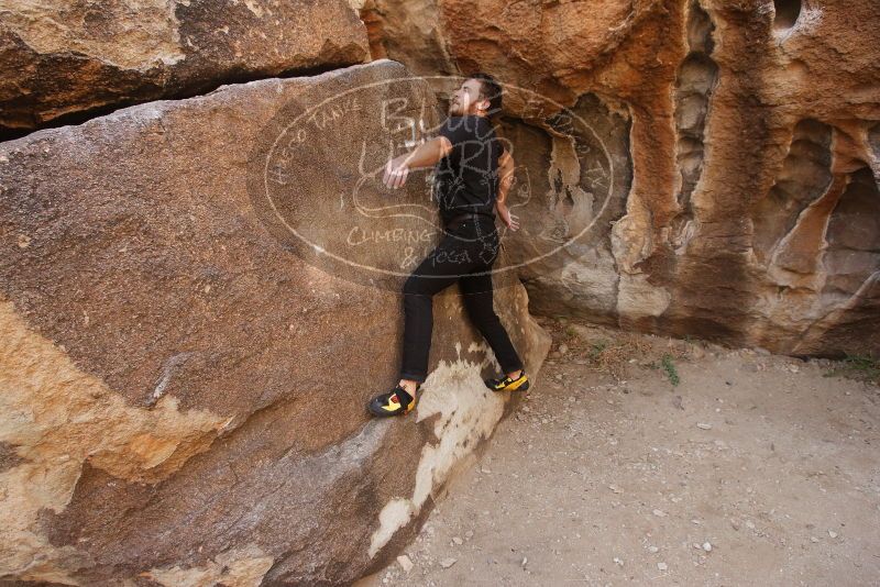 Bouldering in Hueco Tanks on 02/02/2019 with Blue Lizard Climbing and Yoga

Filename: SRM_20190202_1104100.jpg
Aperture: f/5.6
Shutter Speed: 1/200
Body: Canon EOS-1D Mark II
Lens: Canon EF 16-35mm f/2.8 L