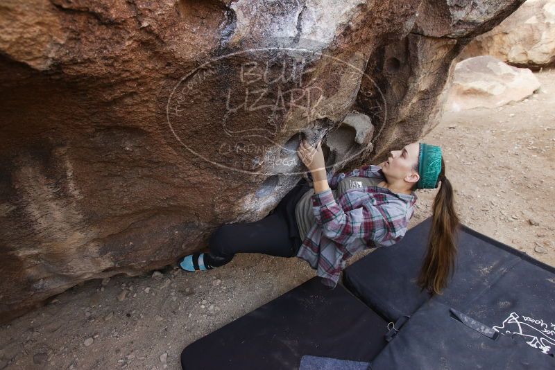 Bouldering in Hueco Tanks on 02/02/2019 with Blue Lizard Climbing and Yoga

Filename: SRM_20190202_1121380.jpg
Aperture: f/5.0
Shutter Speed: 1/250
Body: Canon EOS-1D Mark II
Lens: Canon EF 16-35mm f/2.8 L