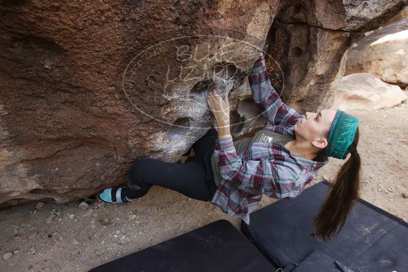 Bouldering in Hueco Tanks on 02/02/2019 with Blue Lizard Climbing and Yoga

Filename: SRM_20190202_1121400.jpg
Aperture: f/5.0
Shutter Speed: 1/250
Body: Canon EOS-1D Mark II
Lens: Canon EF 16-35mm f/2.8 L