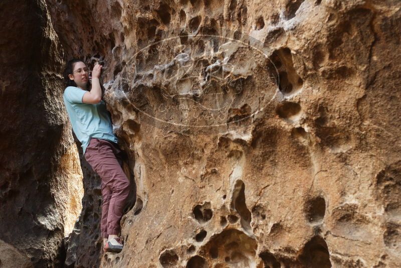 Bouldering in Hueco Tanks on 02/02/2019 with Blue Lizard Climbing and Yoga

Filename: SRM_20190202_1451370.jpg
Aperture: f/2.8
Shutter Speed: 1/200
Body: Canon EOS-1D Mark II
Lens: Canon EF 50mm f/1.8 II