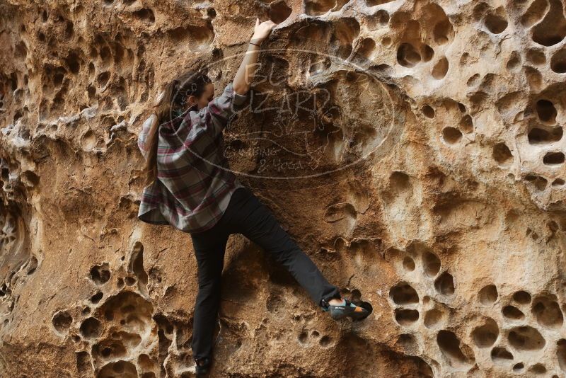 Bouldering in Hueco Tanks on 02/02/2019 with Blue Lizard Climbing and Yoga

Filename: SRM_20190202_1500151.jpg
Aperture: f/3.5
Shutter Speed: 1/100
Body: Canon EOS-1D Mark II
Lens: Canon EF 50mm f/1.8 II