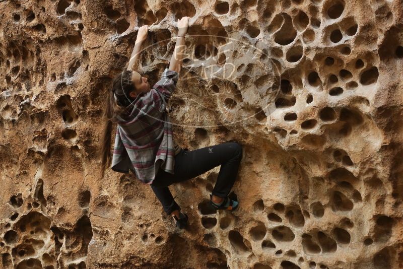 Bouldering in Hueco Tanks on 02/02/2019 with Blue Lizard Climbing and Yoga

Filename: SRM_20190202_1500380.jpg
Aperture: f/3.5
Shutter Speed: 1/125
Body: Canon EOS-1D Mark II
Lens: Canon EF 50mm f/1.8 II