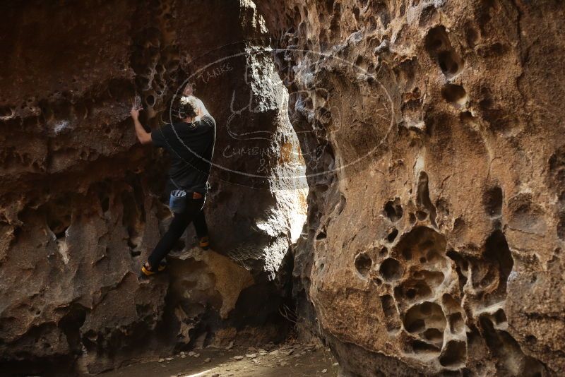 Bouldering in Hueco Tanks on 02/02/2019 with Blue Lizard Climbing and Yoga

Filename: SRM_20190202_1509590.jpg
Aperture: f/3.5
Shutter Speed: 1/160
Body: Canon EOS-1D Mark II
Lens: Canon EF 50mm f/1.8 II