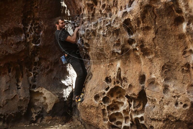 Bouldering in Hueco Tanks on 02/02/2019 with Blue Lizard Climbing and Yoga

Filename: SRM_20190202_1510090.jpg
Aperture: f/3.5
Shutter Speed: 1/125
Body: Canon EOS-1D Mark II
Lens: Canon EF 50mm f/1.8 II