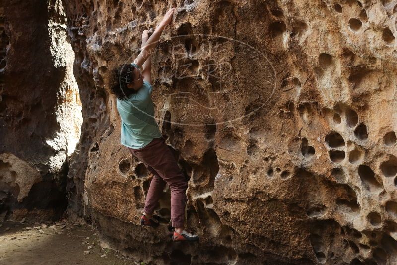 Bouldering in Hueco Tanks on 02/02/2019 with Blue Lizard Climbing and Yoga

Filename: SRM_20190202_1512510.jpg
Aperture: f/3.5
Shutter Speed: 1/160
Body: Canon EOS-1D Mark II
Lens: Canon EF 50mm f/1.8 II