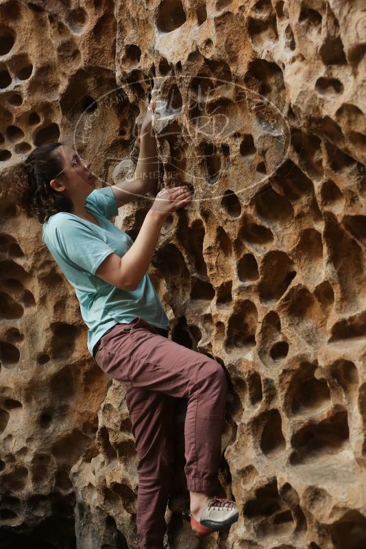 Bouldering in Hueco Tanks on 02/02/2019 with Blue Lizard Climbing and Yoga

Filename: SRM_20190202_1513560.jpg
Aperture: f/3.5
Shutter Speed: 1/250
Body: Canon EOS-1D Mark II
Lens: Canon EF 50mm f/1.8 II
